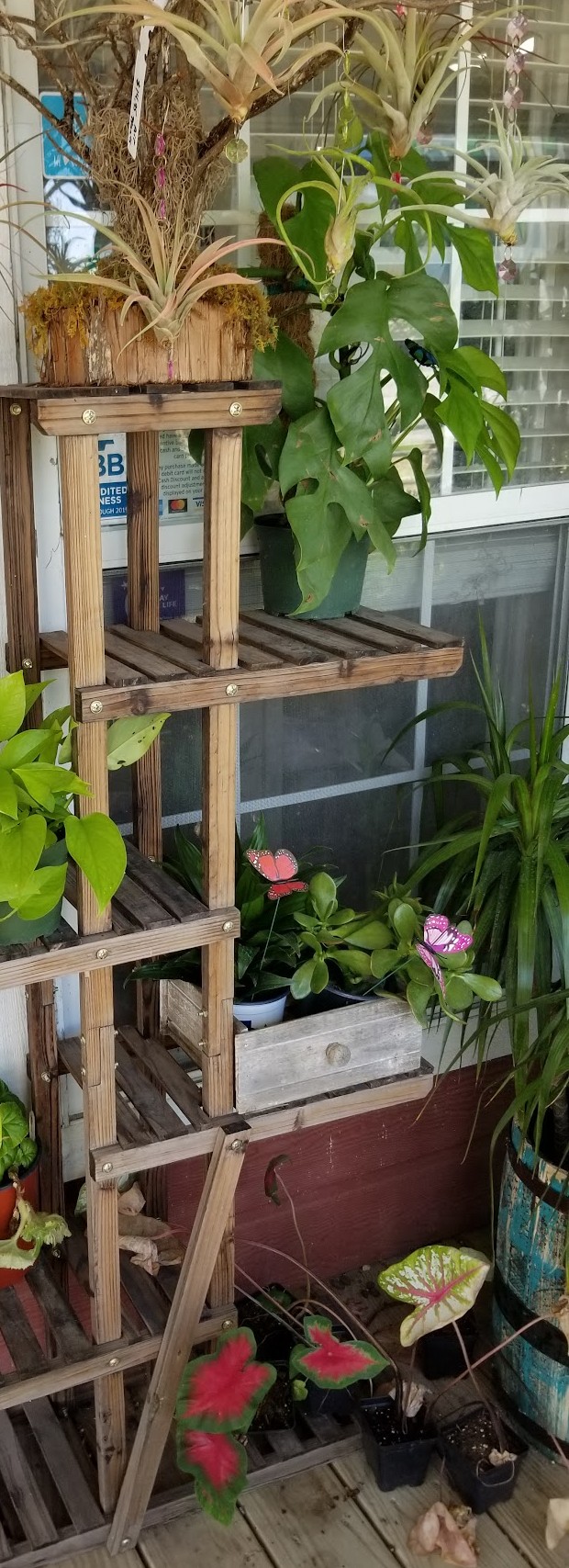 Tiered porch plant stand against barn-red siding at Deep Roots Nursery