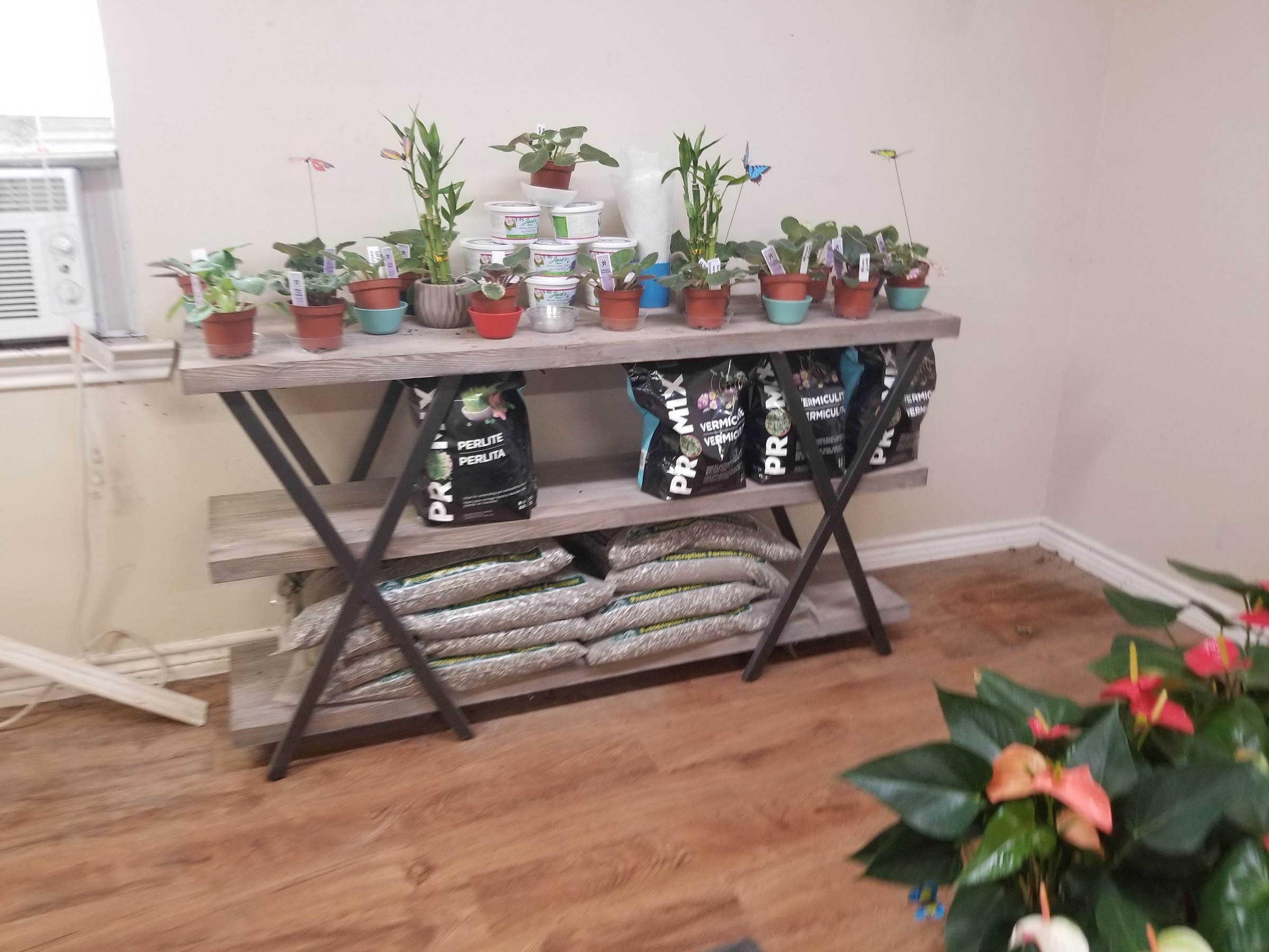 Indoor retail shelves with houseplants and bagged soil amendments near the counter